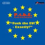 05-04-2014 - sa-promotion - Bemusterung - Proud To Be European.jpg